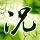 大秦帝国